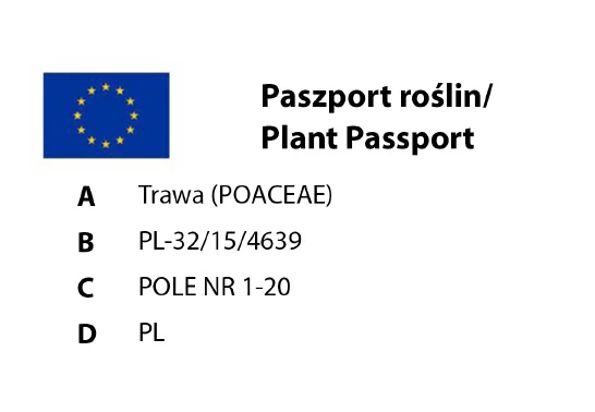 Trawa w rolce 41